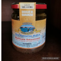 MULLICATA AMANTEANA